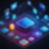 An overview of various proxy types