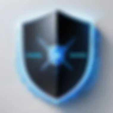 Shielding Cybersecurity Cybersecurity Shield