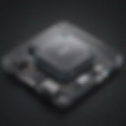Wyse Thin Client Security Shield